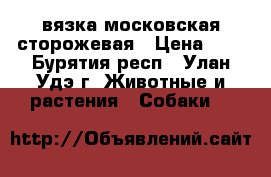 вязка московская сторожевая › Цена ­ 1 - Бурятия респ., Улан-Удэ г. Животные и растения » Собаки   